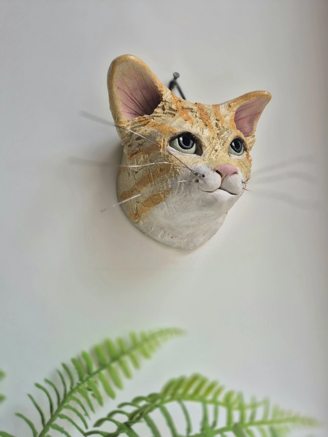 Ginger And White Tabby Cat head