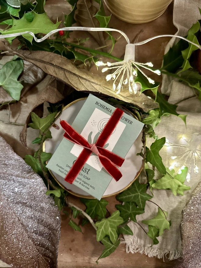 Christmas gifts for wild swimmers soap duo