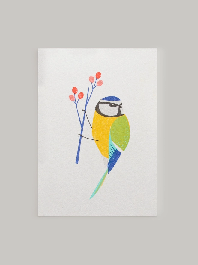 A vibrantly coloured blue tit is illustrated and risograph printed onto this mini greeting card, made from beautifully textured, heavyweight paper. Perfect for bird and wildlife lovers.