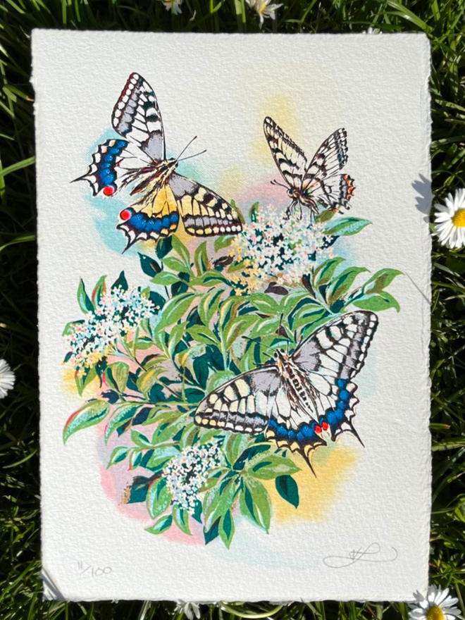 'Happy Hour' Hand Finished Butterfly Screenprint