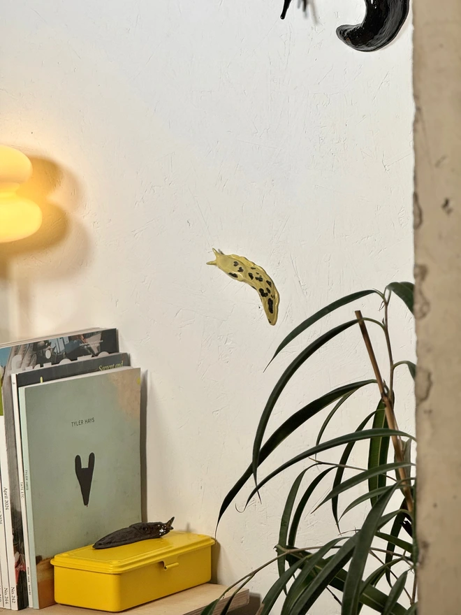 Banana Slug III