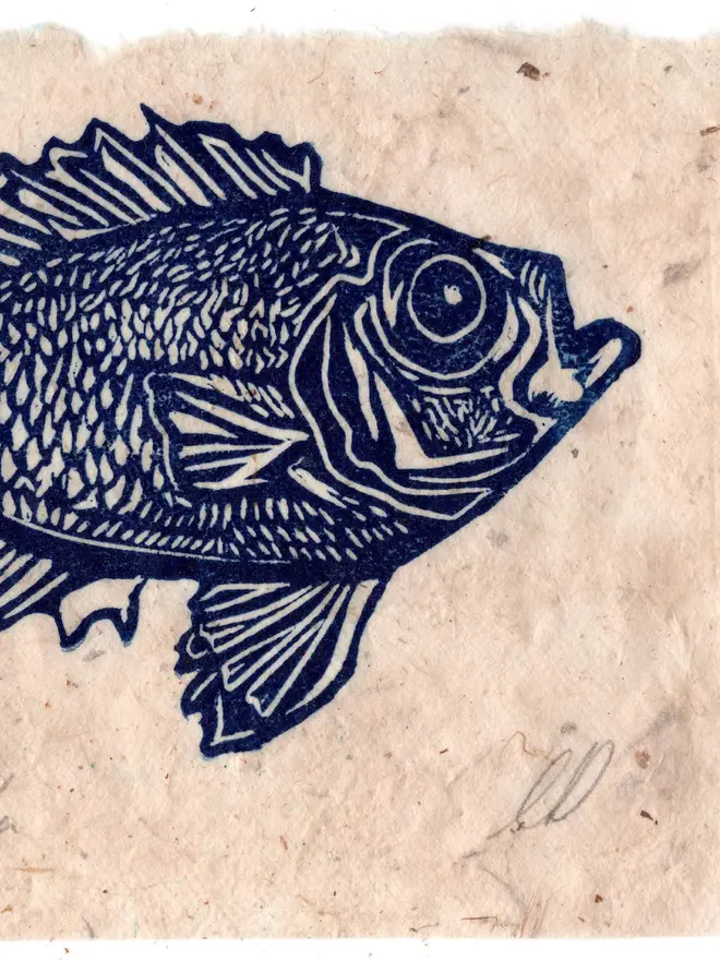 Lino Print Popeye Catalufa Fish On Handmade Paper