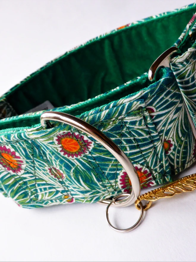 Piper Peacock Martingale Dog Collar