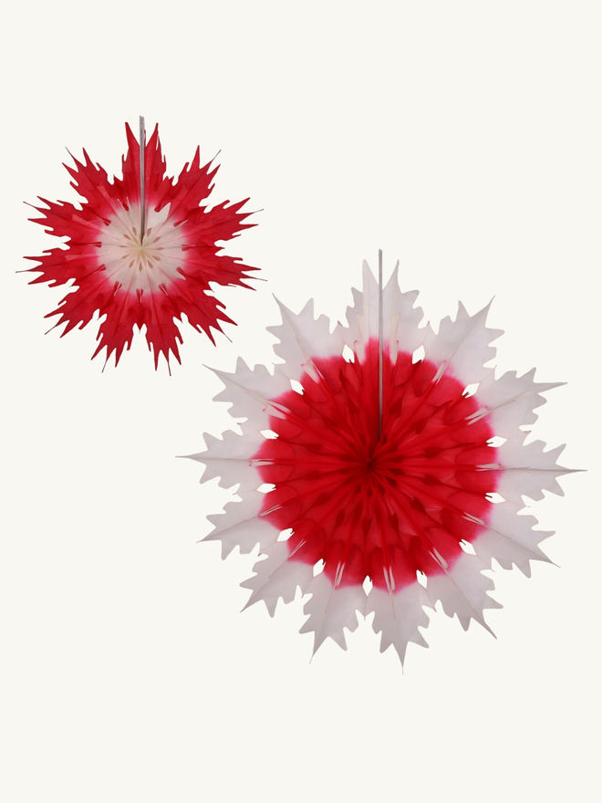 Classic duo snowflake paper decoration