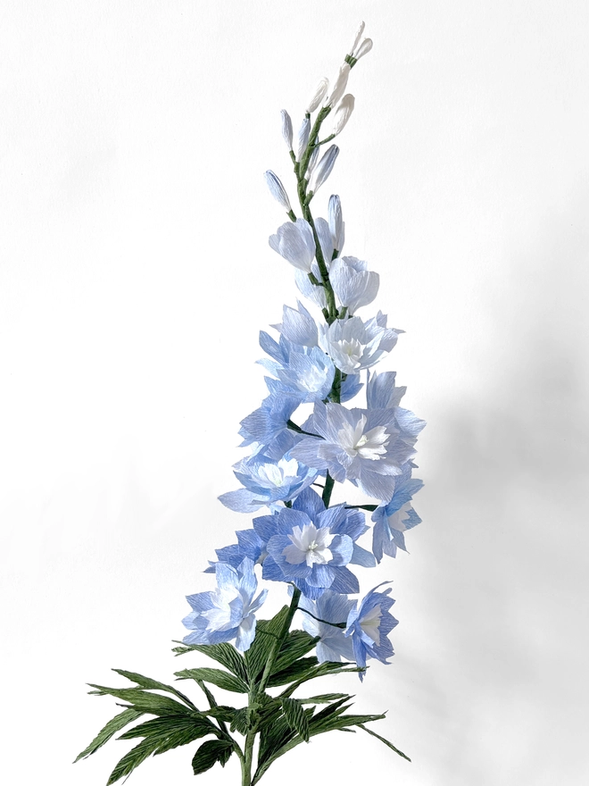 Crepe Paper Delphinium