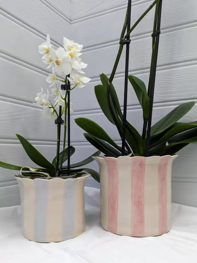 Orchid Planter - Small