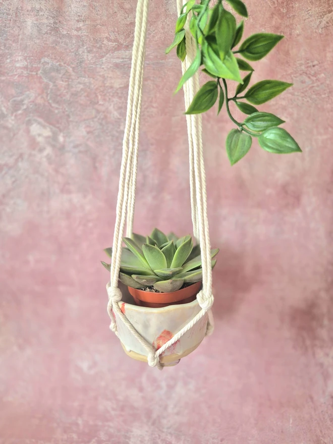 hanging planter, plant pot, succulent plant, jenny hopps pottery
