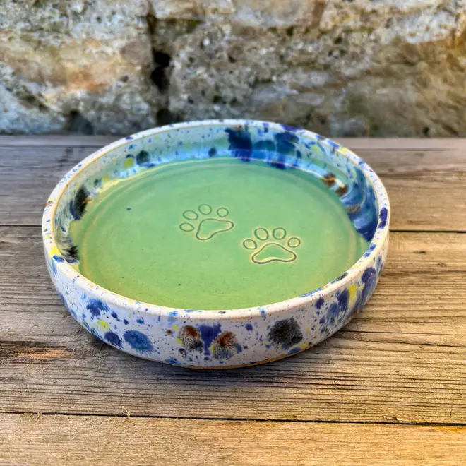 Shoreline Cat Bowl, a colourful cat bowl placed on a wooden surface against a brick backdrop. 