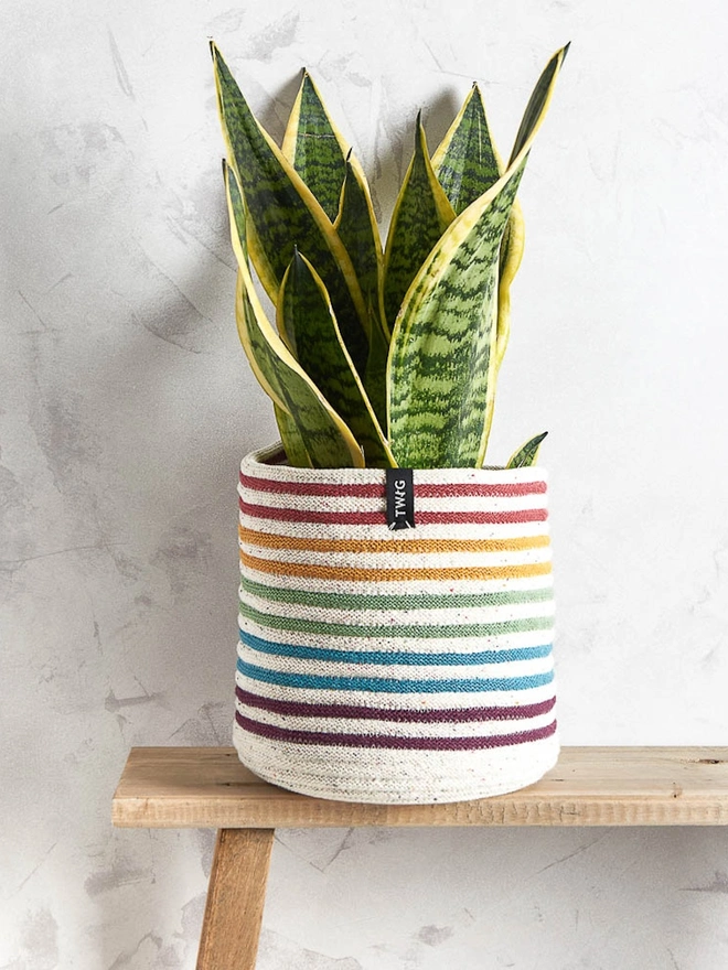 Rainbow Striped Cotton Plant Pot
