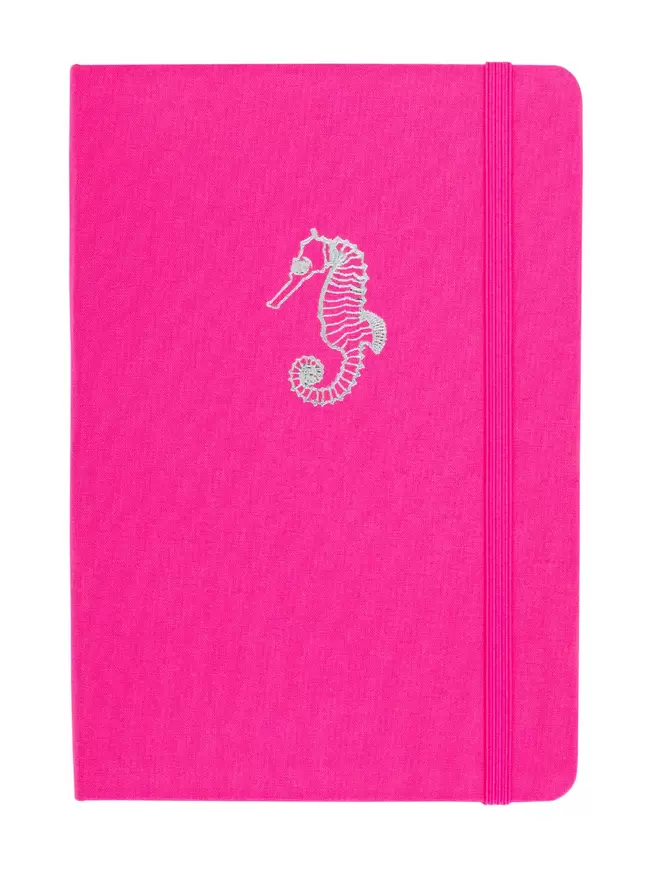 pink seahorse in silver