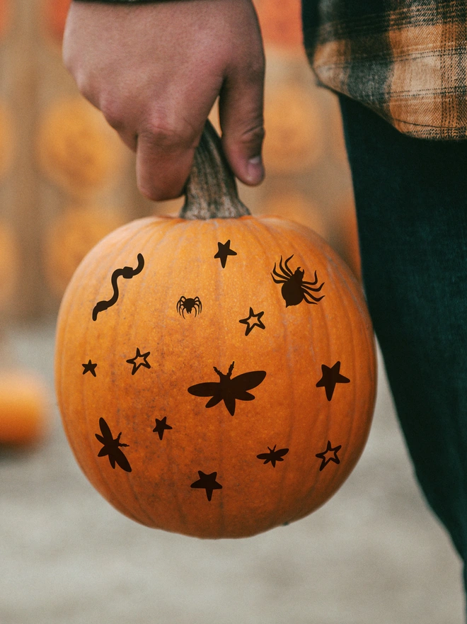 man holding a pumpkin decoated with vinyl stickers