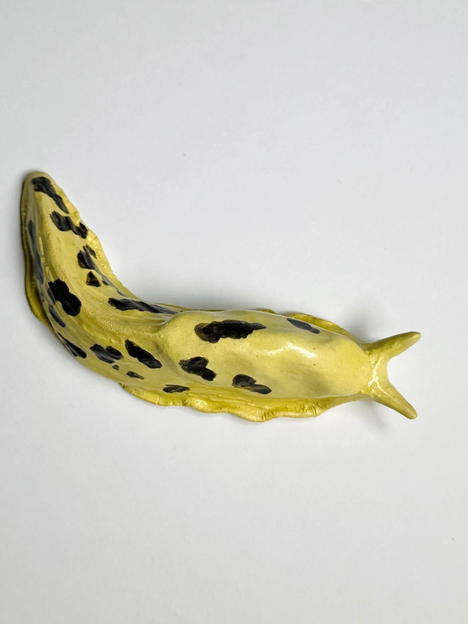 Banana Slug III