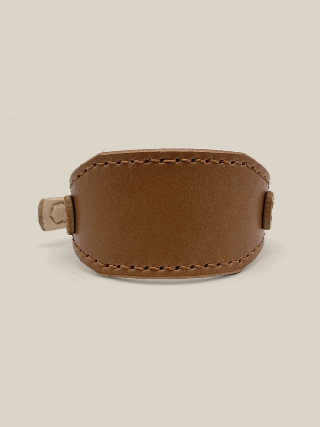 front view of caramel leather sighthound collar