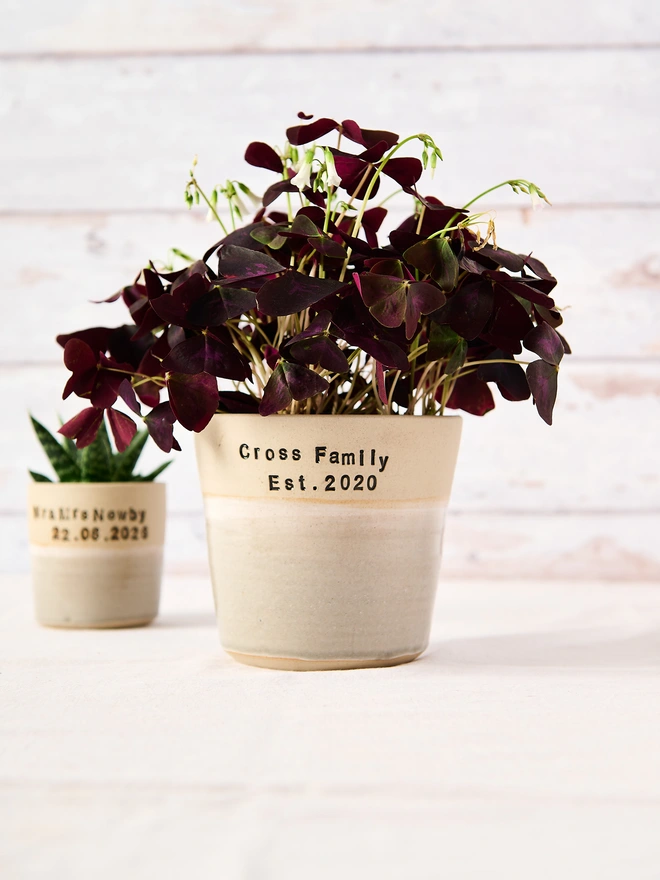 personalised planter