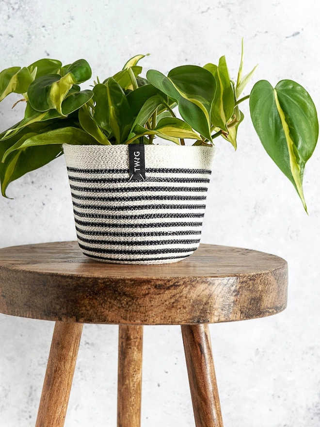Small Striped Natural Cotton Plant Pot