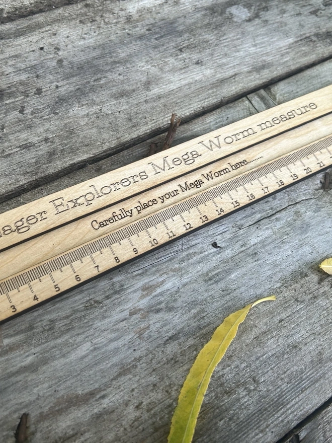 A personalised birch plywood worm‑measuring board lying flat on a natural outdoor surface. The tool features a long engraved ruler scale up to 26cm and a central slot for safely placing a worm during measurement. The wood has a smooth, light oil finish with rounded edges, designed for young learners and forest school activities. No worms are shown; only the wooden measuring board with its  carrying cord is visible.