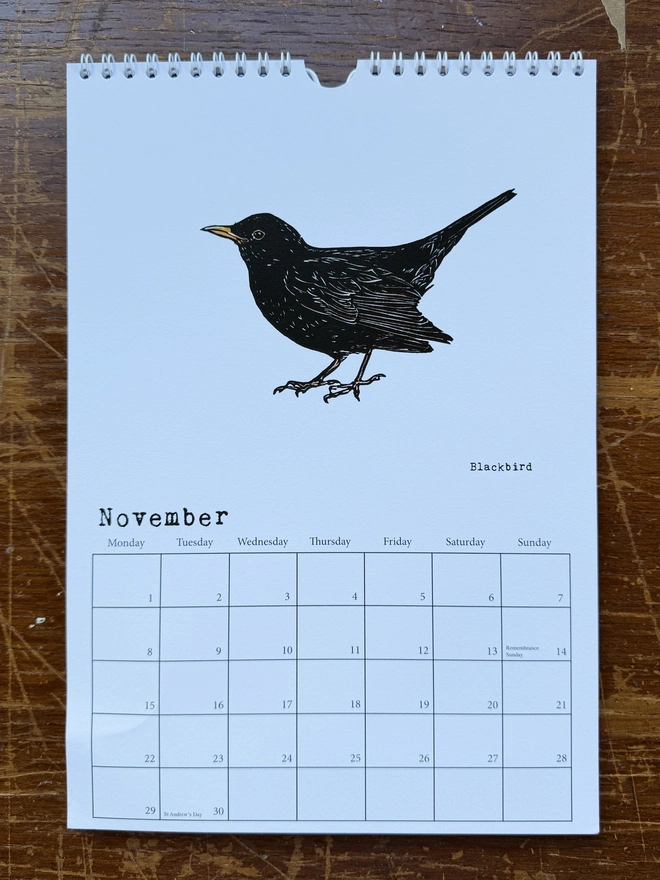 Blackbird for November
