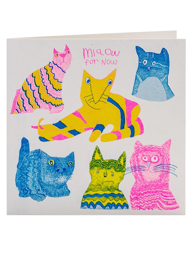 A riso print charity cat card with fluro pink blue & yellow cats with curious stares & funny poses