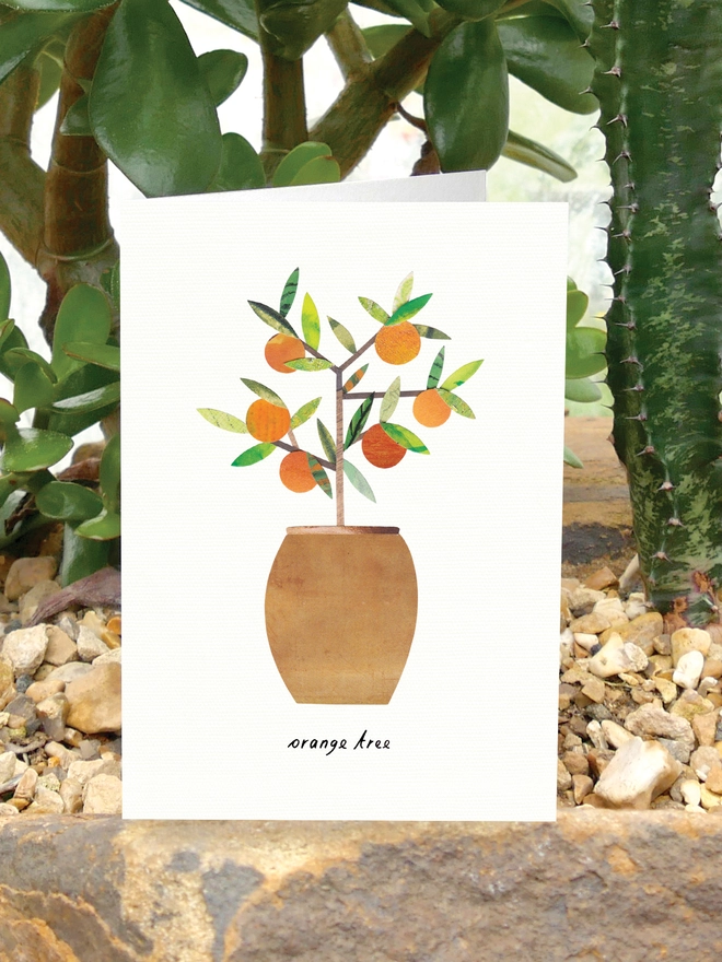 Orange Tree Greeting Card with House Plant Care Tips by Lianne Harrison of Paperwhale Cards