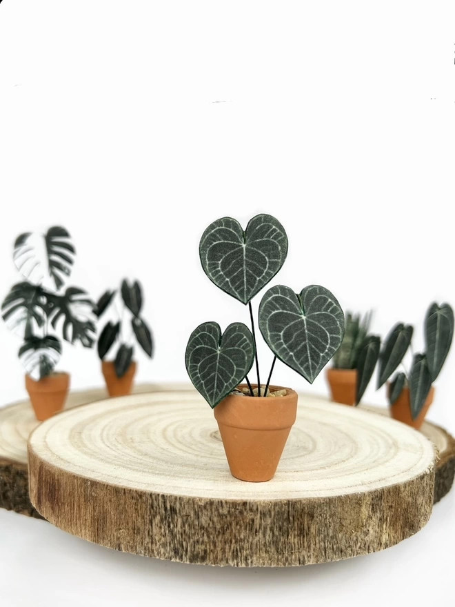 A miniature replica Anthurium Clarinervium paper plant ornament in a terracotta pot sat on a round wooden log slice with other paper plants in the background