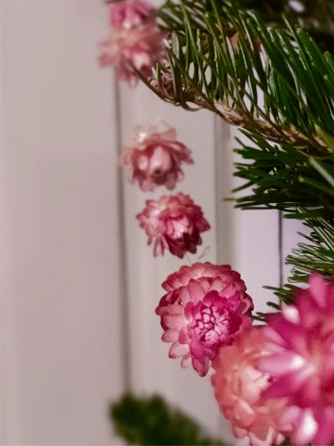 festive dried flower bud garland. pink dried flower garland hung on christmas tree.