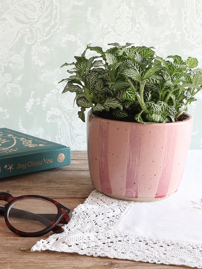 Medium Handmade Ceramic Stoneware Plant Pot in Pink Stripe sat on a vintage tablecloth on top of a wooden table. A pair of glasses and a book sit alongside the plant pot which is filled with a fittonia plant featuring small green and white leaves. 