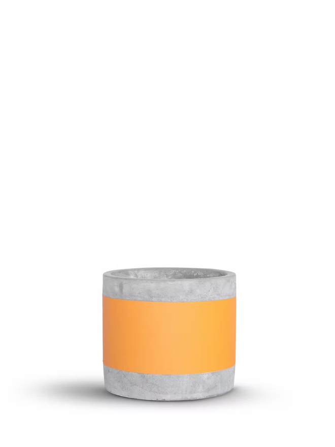 coloured middle concrete plant pot. a grey concrete plant pot with a bright orange stripe around the middle.