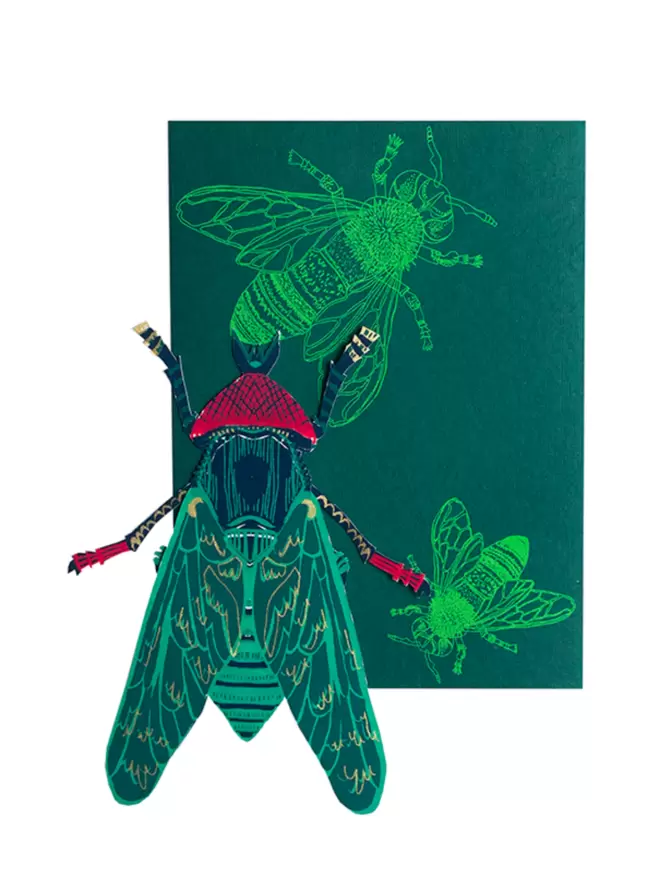 Full shot of image fly card with matching green envelope with an insect motif