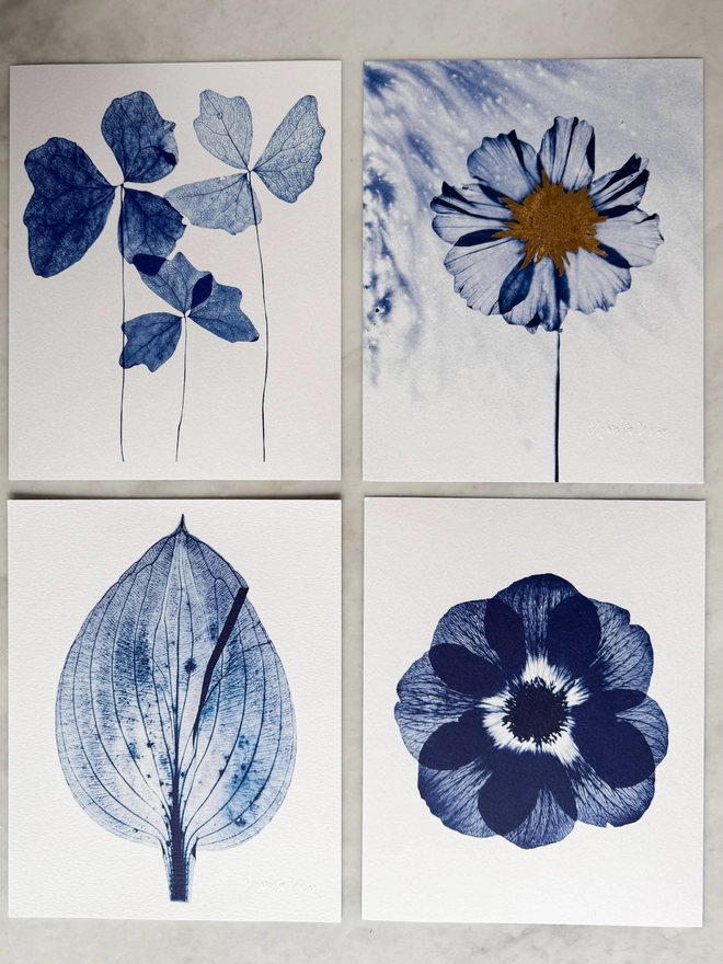 Blue and white set of 4 Botanical X-ray print from an original Cyanotype 