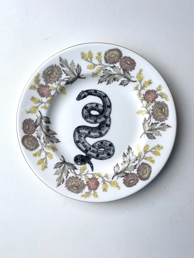 vintage plate with an ornate border, with a printed vintage illustration of a snake in the middle 