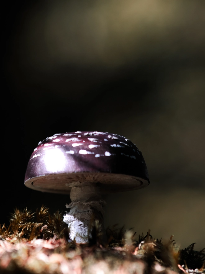 Handmade wooden toadstools and mushroom decorations inspired by enchanted woodland walks