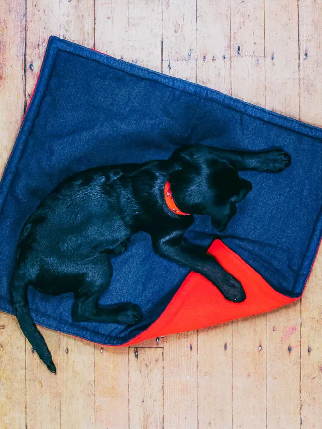 Padded Pet Blanket in Denim and Red Fleece with a labrador