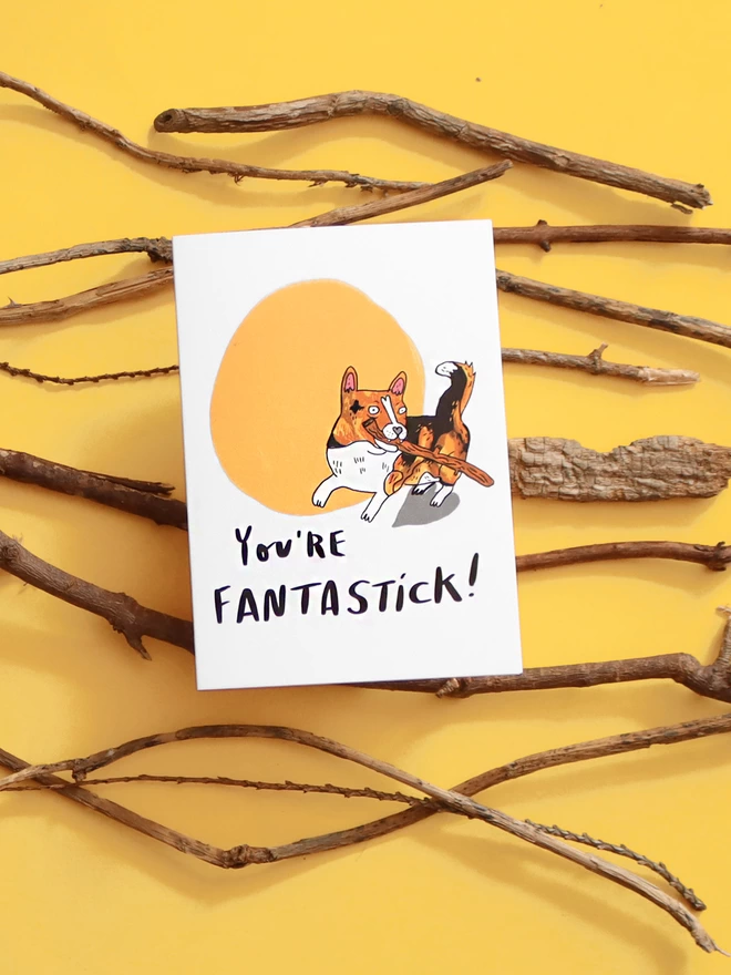 A6 greeting card on a bed of sticks that reads - You're Fantastick! Illustrated with a corgi dog with a stick in its mouth