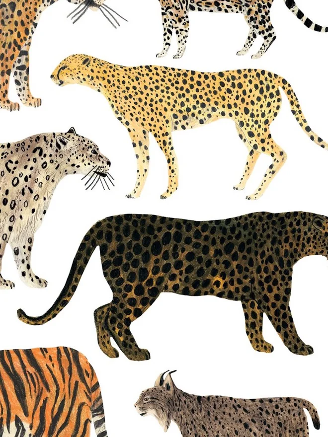 Wild Cats Print