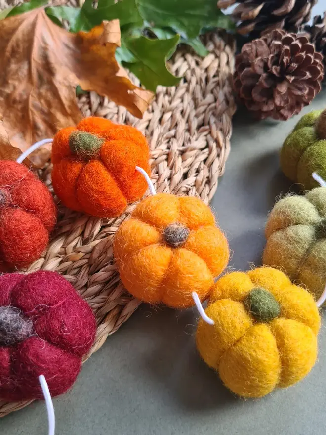 Rainbow Pumpkin Garland Autumn Home Decor