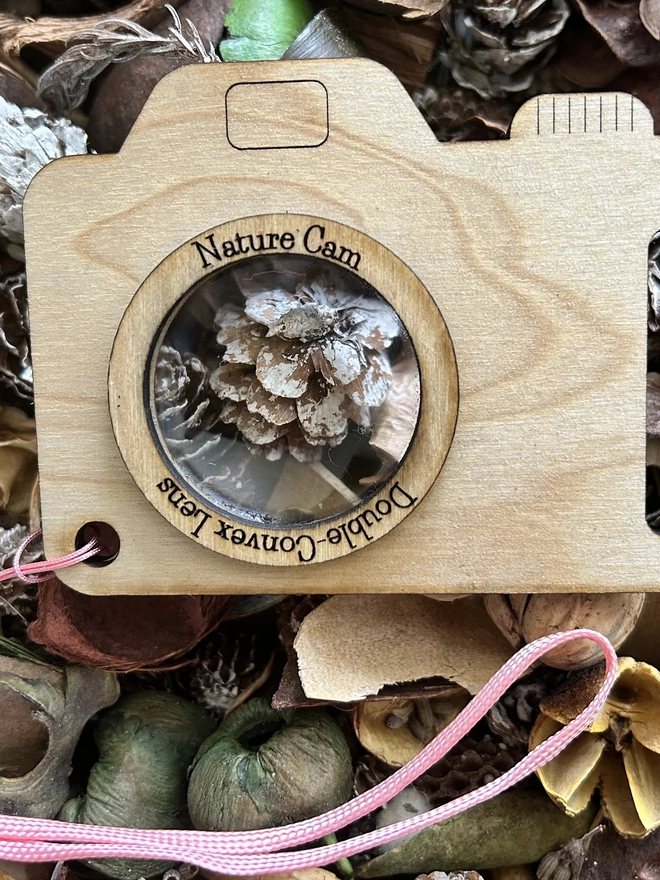Rear of nature camera on a forest floor