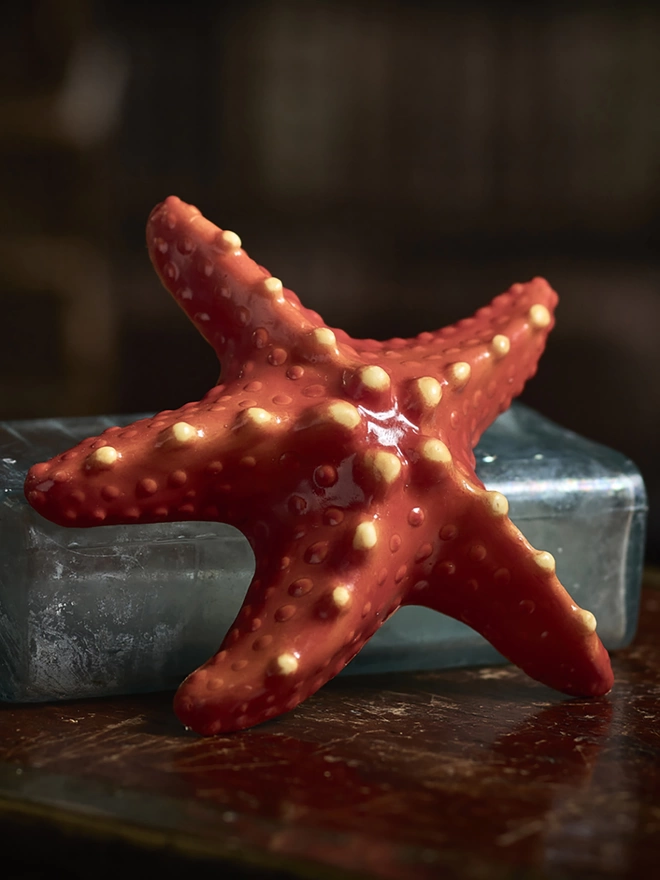 Realistic edible chocolate starfish on antique bottle 