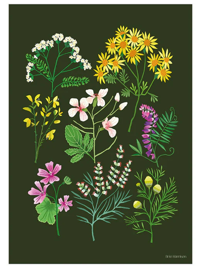 walk at snape flower print