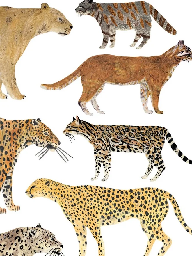 Wild Cats Print