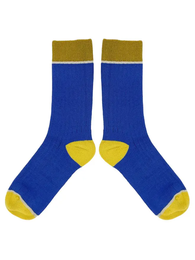 Unisex Organic Cotton Ribbed Ankle Socks, a pair of colourful socks sitting on a plain white surface. 
