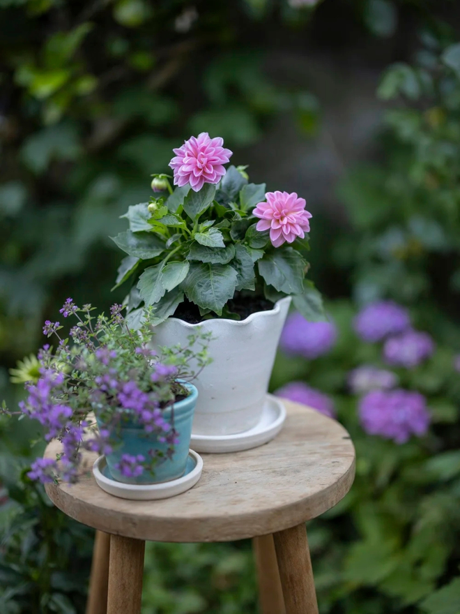fluted porcelain flower pot