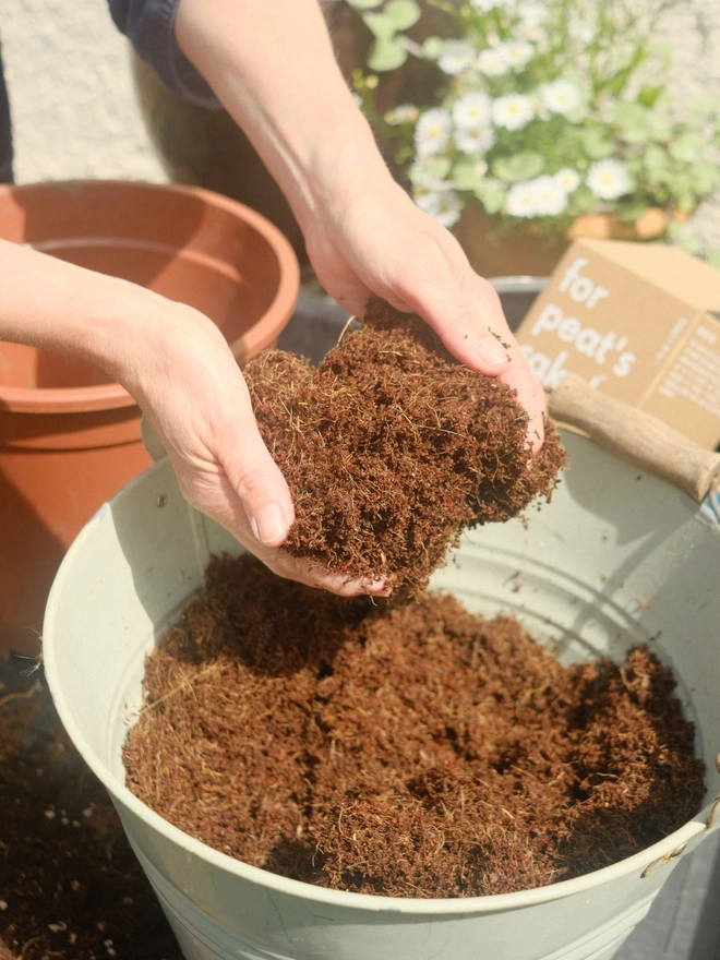 hydrated peat-free coir compost