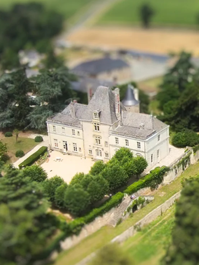 french wine vineyard