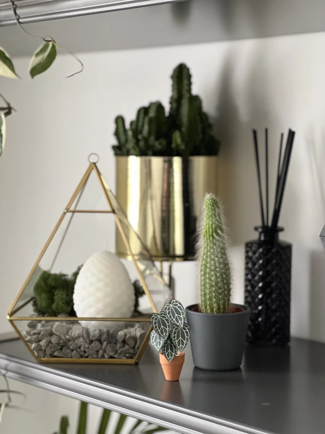 A miniature replica Anthurium Crystallinum paper plant ornament in a terracotta pot sat on a shelf with real plants around it, some gold accessories, a reed diffuser and a small gold terrarium