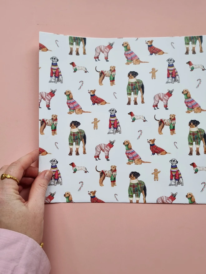 Christmas Dogs wearing sweaters wrapping paper
