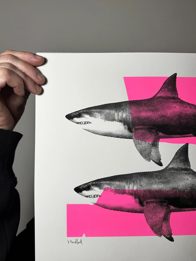 Shark Tank_A3 Screen Printed Poster_Holly and Co_left close up