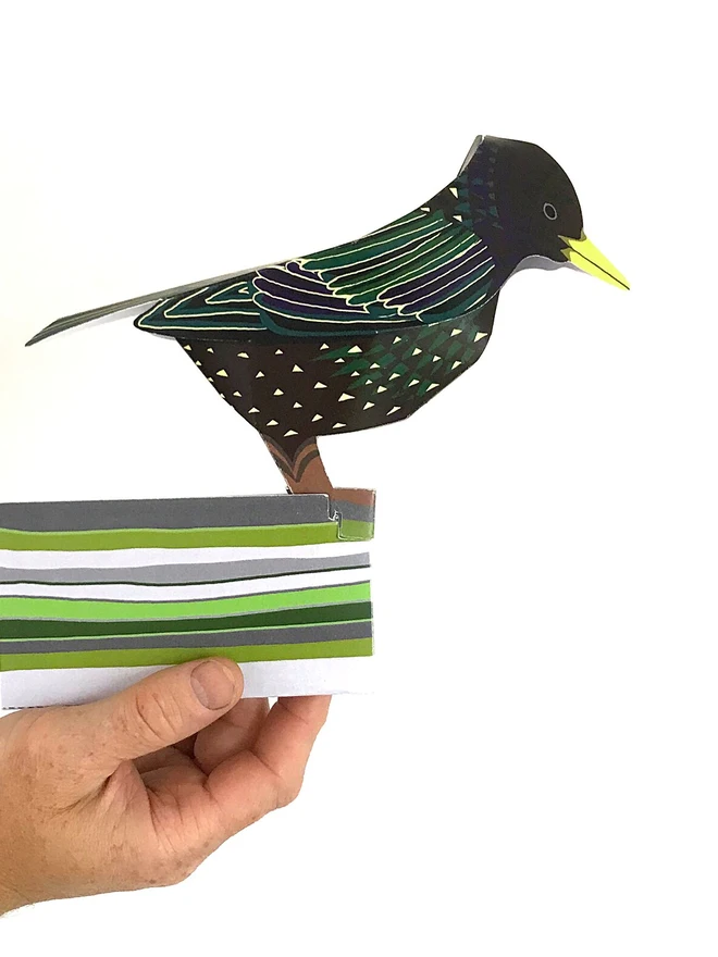 3d starling pop out card