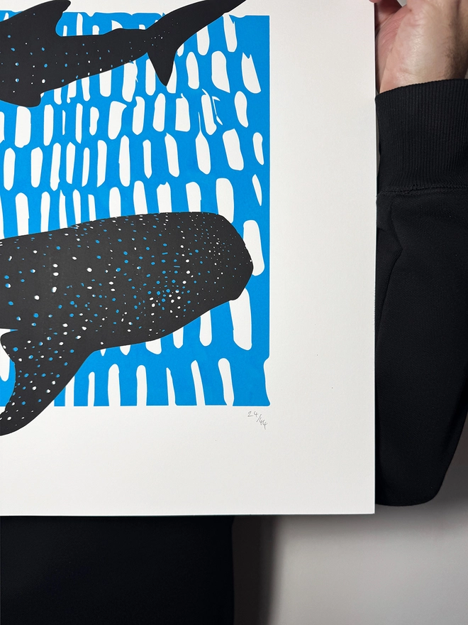 Whale Sharks_Large A2 Screen Print_Holly and Co_hand numbered limited edition