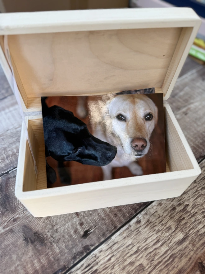 Dog keepsake box 