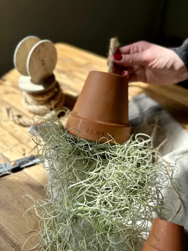 A terracotta pot sits on a wooden table, Tillandsia Moss gracefully falls from within the terracotta pot, jute is attached to hang. The pot is surrounded by a ball of jute string and lays on a vintage tea towel, you can also see a second terracotta pot filled with Tillandsia.